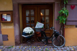 Alsace Photograph by Concha Lagoa Fontán