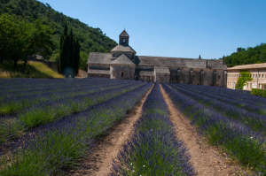 Provence-Alpes-Côte d'Azur Photograph by Concha Lagoa
