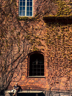 Cities - Stockholm Photograph by Concha Lagoa